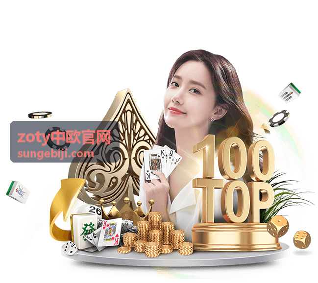 zoty中欧官网 车载应急工具组合 12 件
